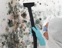 Asbestos and Lead Testing During Mold Inspection in Clearlake, CA